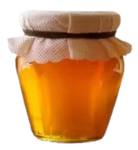 عسل فى نينوى
